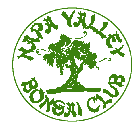 Napa Valley Bonsai Club logo